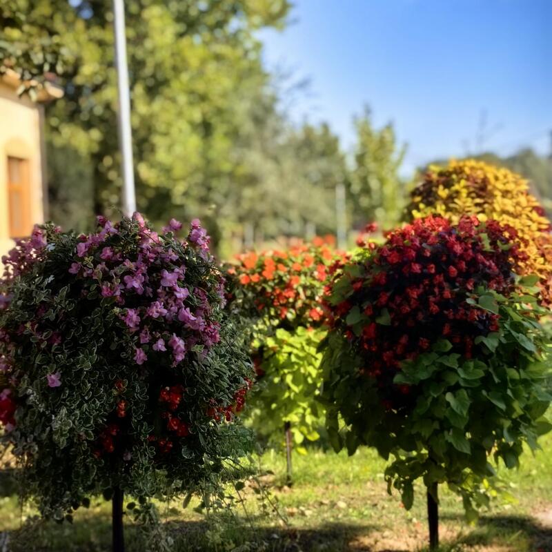 Čarobna šumica u Općini Drnje. Kompozicija se sastoji od ukupno 4 Cvjetirka kugle fi 60 cm. 